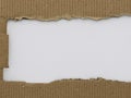 torn cardboard texture with white ripped edges Royalty Free Stock Photo