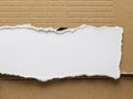 torn cardboard texture with white ripped edges Royalty Free Stock Photo