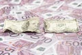 Torn dollars on euro money Royalty Free Stock Photo