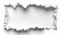 Torn Edges Frame on White Surface with Delicate Textural Abstract Elements Royalty Free Stock Photo