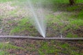 Torn fire hose watering torn fire hose in a park of trees. a stream of water from a hole in a hose Royalty Free Stock Photo