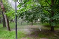 Torn fire hose watering torn fire hose in a park of trees. a stream of water from a hole in a hose Royalty Free Stock Photo