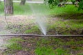 Torn fire hose watering torn fire hose in a park of trees. a stream of water from a hole in a hose Royalty Free Stock Photo