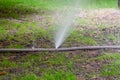 Torn fire hose watering torn fire hose in a park of trees. a stream of water from a hole in a hose Royalty Free Stock Photo