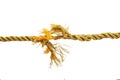 Torn gold rope Royalty Free Stock Photo