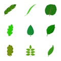 Torn green leaf icons set, cartoon style