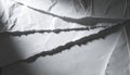 Torn Grey Paper with Dramatic Lighting and Shadows Royalty Free Stock Photo