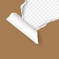 Paper corner torn hole corner of paper sheet with paper curl isolated on transparent background realistic vector Royalty Free Stock Photo