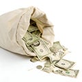Torn Money Bag Royalty Free Stock Photo