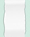 Torn note, notebook, grainy vertical paper strip stuck on light green squared background. Vector illustration Royalty Free Stock Photo