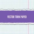 Torn notebook paper pieces realistic vector Royalty Free Stock Photo