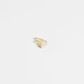 Torn out bad root human tooth close up on white background