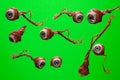 Torn out eyeball Royalty Free Stock Photo