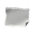 Torn paper background with subtle texture Royalty Free Stock Photo