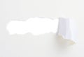 Torn paper banner Royalty Free Stock Photo