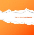 Torn paper banner Royalty Free Stock Photo