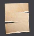 Torn paper banners Royalty Free Stock Photo