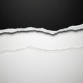 Torn paper edge with subtle texture Royalty Free Stock Photo