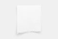 Torn paper edges. Ripped paper texture. Paper tag. White paper sheet for background with clipping path. Close up Royalty Free Stock Photo