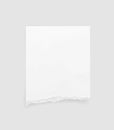 Torn paper edges. Ripped paper texture. Paper tag. White paper sheet for background with clipping path. Vector Royalty Free Stock Photo