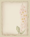 Torn Paper Flower Background 1