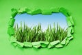 Torn paper with grass Royalty Free Stock Photo