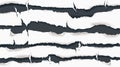 Torn Paper Header Separator Set Template for Design Projects