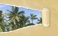 Torn paper with palm trees against blue sky in opening background Royalty Free Stock Photo