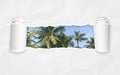 Torn paper with palm trees against blue sky in opening background Royalty Free Stock Photo