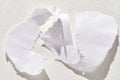 Torn paper pieces on white background representing breaking, fragmentation, and separation Royalty Free Stock Photo