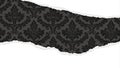 Torn paper revealing elegant black damask pattern on a white background Royalty Free Stock Photo