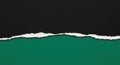 Torn paper revealing green background Royalty Free Stock Photo