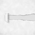 Torn paper with rolled edge. Rough broken border of paper stripe. Vector