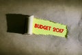 Torn paper with word BUDGET 2017