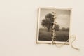 A torn photograph sewn together with a rope. Space for text. Royalty Free Stock Photo