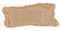 Torn piece of cardboard. Blank paper piece for message, reminder, sign, tag, label. Corrugated ripped cardboard empty background Royalty Free Stock Photo
