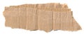 Torn piece of cardboard. Blank paper piece for message, reminder, sign, tag, label. Corrugated ripped cardboard empty background Royalty Free Stock Photo