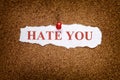 Torn piece of paper with phrase Hate you Royalty Free Stock Photo