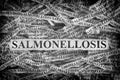 Torn pieces of paper with the words Salmonellosis