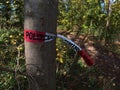 Torn police barrier tape with red and white stripes used to close areas for criminal investigations tied to tree.