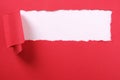 Torn red paper strip banner white background copy space
