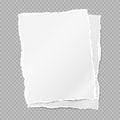 Torn, ripped piece of white and lined paper sheets with soft shadow are on squared grey background. Vector illustration Royalty Free Stock Photo