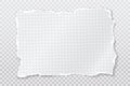 Torn, ripped piece of white squared note paper with soft shadow are on white background for text. Vector illustration Royalty Free Stock Photo