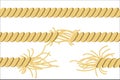 Torn rope elements. Vector illustration stock.