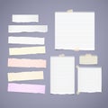 Torn ruled, note, notebook, copybook paper strips, sheets stuck Royalty Free Stock Photo