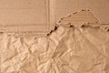 Torn sheet of corrugated cardboard and crumpled kraft paper