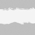 Torn squared grey horizontal paper strips are on lined background with space for text. Vector illustration