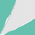 Torn squared turquoise paper in corners are on background with space for text. Vector illustration