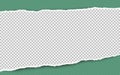Torn squared white horizontal paper strip is on green background with space for text. Vector illustration
