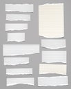 Torn of vertical white, lined note, notebook paper strips, pieces stuck on grey background. Vector illustration Royalty Free Stock Photo